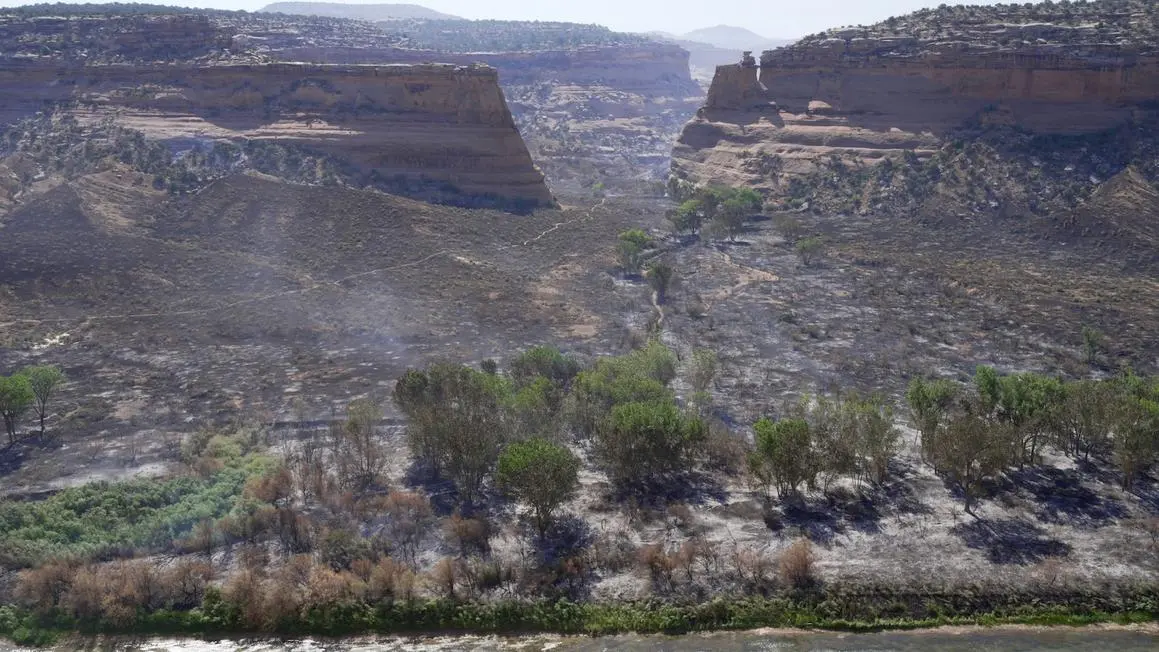 Cháy rừng ở Colorado: Hàng ngàn người sơ tán, hơn 160 công trình bị phá hủy