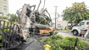 Bão Lớn Đổ Bộ Hawaii, Gây Thiệt Hại Lan Rộng, Cúp Điện