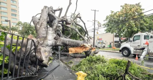 Bão Lớn Đổ Bộ Hawaii, Gây Thiệt Hại Lan Rộng, Cúp Điện
