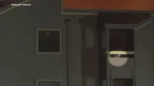 Tìm kiếm 4 mèo mất tích sau vụ cháy chung cư 6 báo động ở Foster City