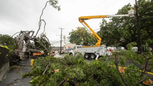 Bão nhiệt đới Lala quần thảo Hawaii với gió mạnh và mưa lớn