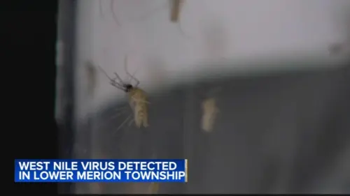 Virus West Nile Phát Hiện Trong Muỗi Tại Montgomery County