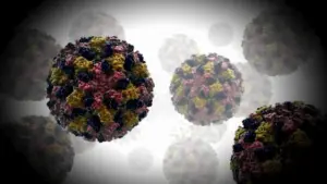 Giới chức y tế San Francisco báo cáo 10 ca Cyclosporiasis trong năm nay