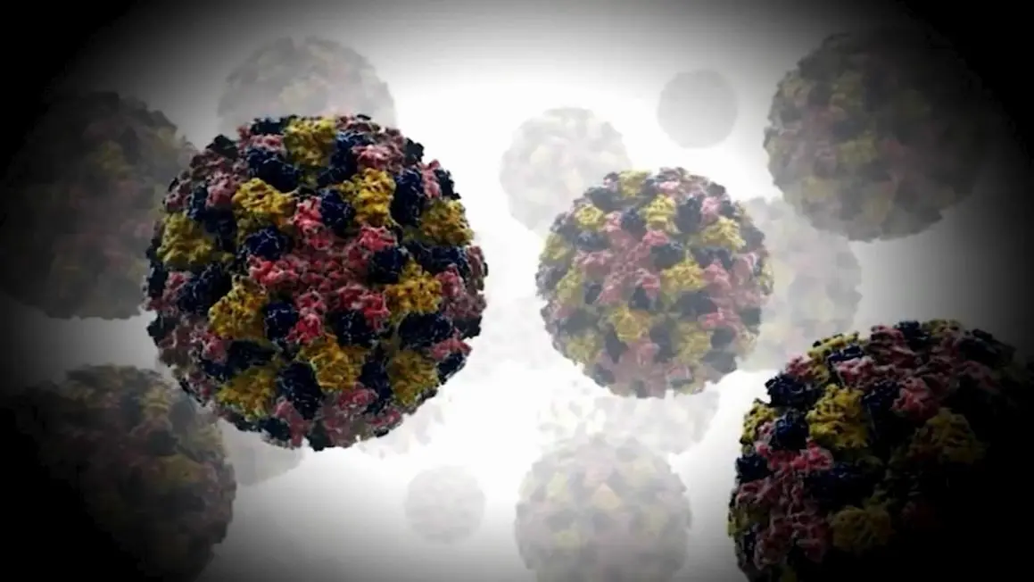 Giới chức y tế San Francisco báo cáo 10 ca Cyclosporiasis trong năm nay