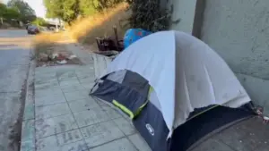 Hội đồng Thành phố Los Angeles bãi bỏ 12 khu vực thực thi luật về người vô gia cư