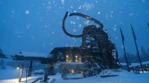 Truy tố và phạt tiền khu nghỉ dưỡng Mammoth Mountain sau vụ tử vong của nhân viên tuần tra trượt tuyết năm 2025