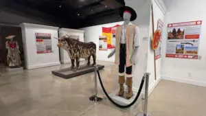 Triển lãm mới ở Houston tôn vinh vai trò của Texas thời thuộc Tây Ban Nha trong Cách mạng Hoa Kỳ