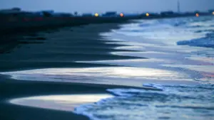 Louisiana Cảnh Báo Nguy Cơ Vi Khuẩn Ăn Thịt Người Sau 5 Ca Tử Vong