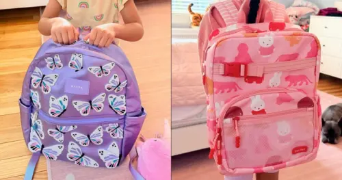 Những Mẫu Ba Lô Tốt Nhất Cho Trẻ Đến Trường, Theo Lời Một Bà Mẹ