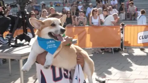 Cuộc đua Corgi Quốc tế lần thứ 5 tại Lithuania