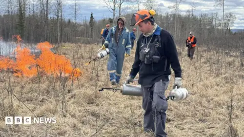 ‘KHÔNG SỢ HÃI Ở LẠI’: NGƯỜI CANADA MUỐN THAY ĐỔI CÁCH CHỐNG CHÁY RỪNG