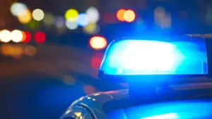 Cháy nhà tại Marysville, Washington khiến một phụ nữ và chó thiệt mạng