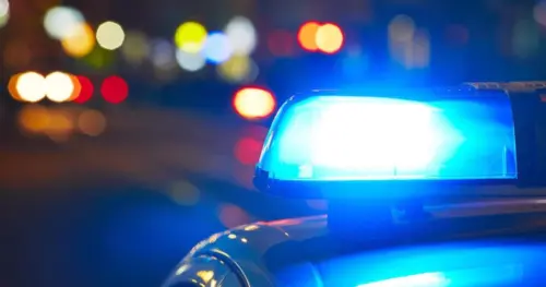 Cháy nhà tại Marysville, Washington khiến một phụ nữ và chó thiệt mạng