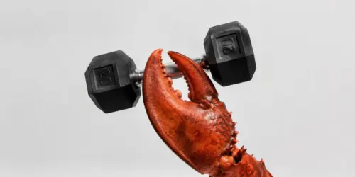 Ngành công nghệ xôn xao sau khi một tác nhân Claude hack vào phòng tập gym