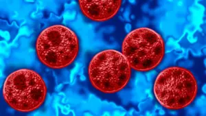 Michigan ghi nhận hai ca tử vong trong vụ bùng phát Cyclosporiasis