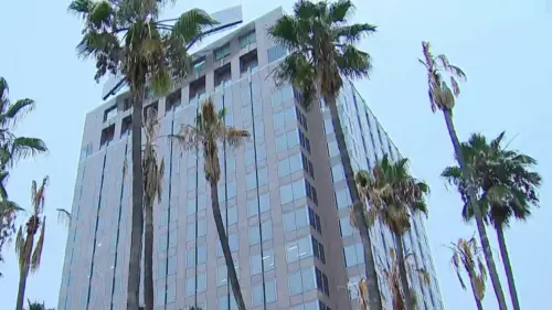 Tháo dỡ khẩn cấp 32 cây cọ tại Circle of Palms ở San Jose