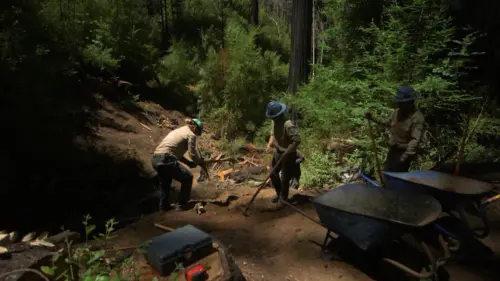 Công tác khôi phục đường mòn tại Big Basin sau trận cháy rừng