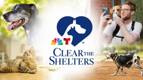 Ra mắt đặc biệt truyền hình “Clear The Shelters” của NBC với sự góp mặt của dàn sao