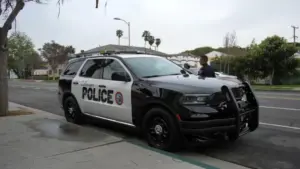 Bắt giữ nghi phạm bỏ chạy sau khi tông chết chó ở Culver City