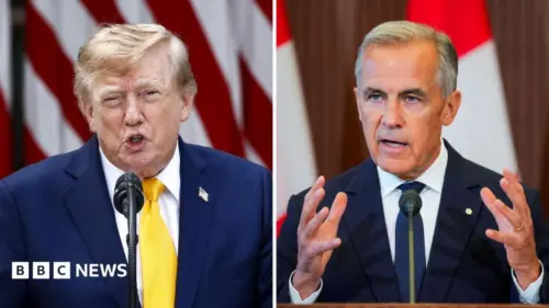 Canada có thể trả đũa kinh tế nhắm vào Hoa Kỳ và Tổng Thống Trump như thế nào