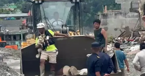Chó điếc đoàn tụ với chủ sau trận lụt thảm khốc ở Nepal