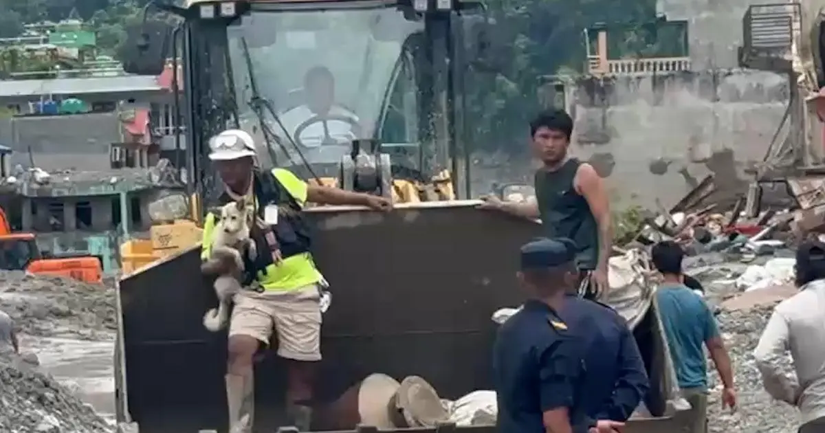 Chó điếc đoàn tụ với chủ sau trận lụt thảm khốc ở Nepal