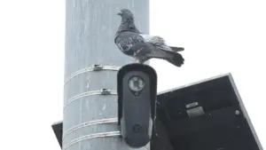 Hệ thống camera giao thông gây tranh cãi: Phe Cộng hòa và Dân chủ cùng phản đối