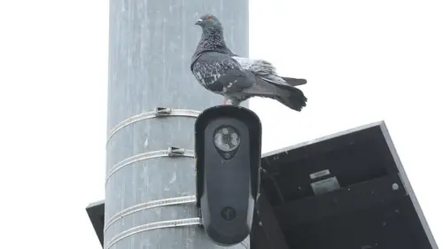 Hệ thống camera giao thông gây tranh cãi: Phe Cộng hòa và Dân chủ cùng phản đối