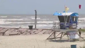 Cảnh báo về ‘rận biển’ tại các bãi biển Galveston: Chúng là gì?