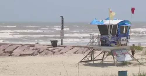 Cảnh báo về ‘rận biển’ tại các bãi biển Galveston: Chúng là gì?