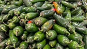 Whole Foods thu hồi nhiều sản phẩm vì lo ngại Salmonella