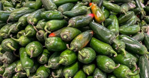 Whole Foods thu hồi nhiều sản phẩm vì lo ngại Salmonella