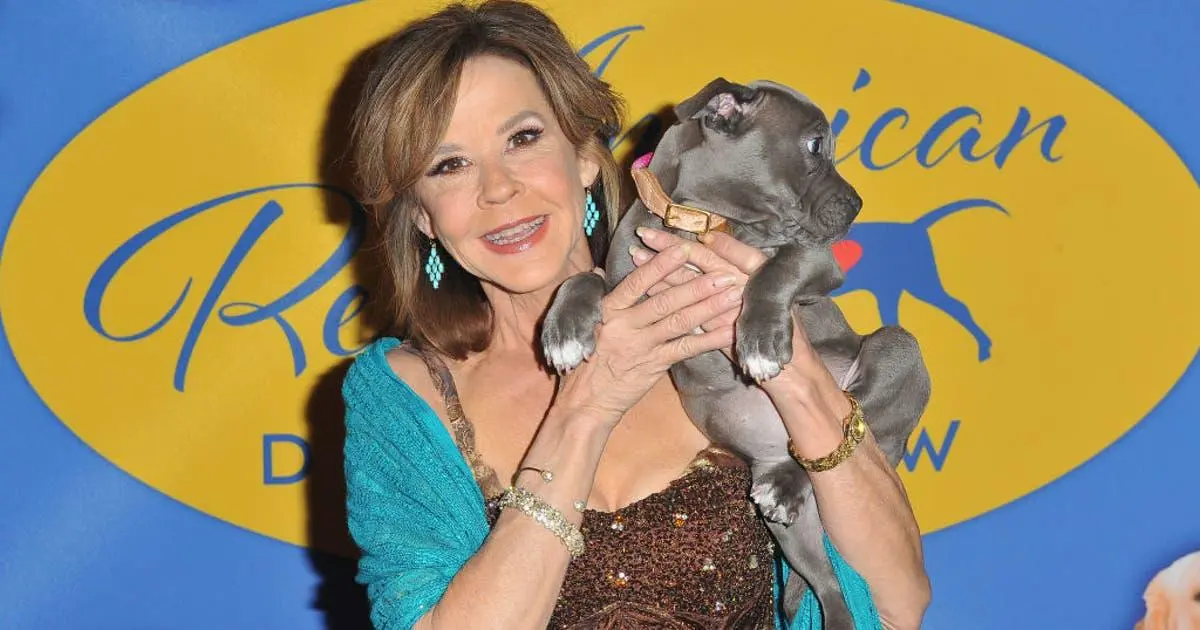 Nhà chức trách lục soát cơ sở cứu trợ động vật của nữ diễn viên Linda Blair ở Quận Los Angeles