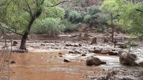 Cuộc tìm kiếm khẩn cấp: Hơn 20 người mất tích sau lũ quét ở Grand Canyon