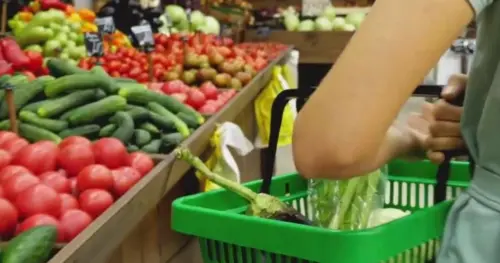 Chi Tiêu SNAP Giảm Mạnh Khi Yêu Cầu Làm Việc Mới Có Hiệu Lực