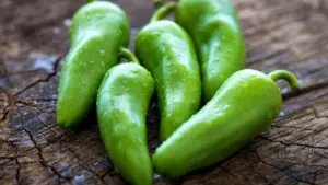 Taylor Farms thu hồi nhiều sản phẩm chứa ớt jalapeño trên toàn quốc