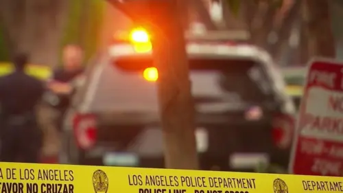 Phụ nữ phát hiện kẻ lạ mặt uống nước tăng lực trong bếp nhà ở Playa Vista