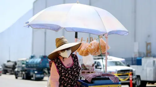 Mùi thối rữa bao trùm khu dân cư ở Los Angeles sau vụ cháy kho hàng