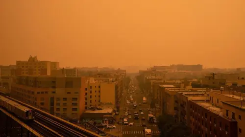 Thảm họa cháy rừng và sóng nhiệt phơi bày sự nguy hiểm của chương trình nghị sự xanh