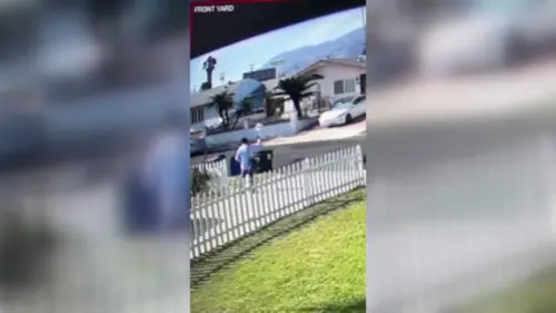 Video Ghi Lại Cảnh Người Giao Hàng Bưu Điện Bị Tố Tấn Công Chim Công Ở Pasadena