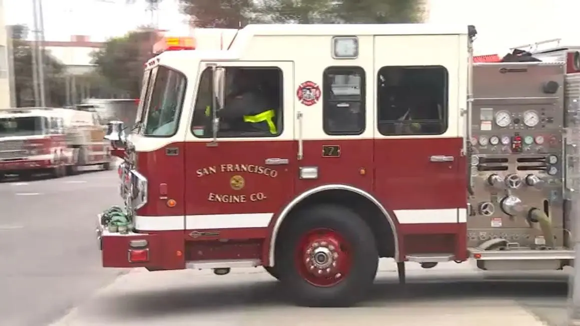 1 Chú Mèo Chết Trong Vụ Hỏa Hoạn Tại San Francisco