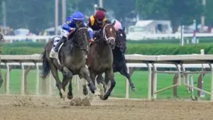 Dự đoán kết quả Đua Ngựa tại Saratoga Race Course ngày 8 tháng 8