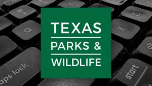 Quy định mới tại Texas: Yêu cầu giấy tờ tùy thân khi mua giấy phép săn bắn và câu cá
