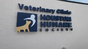 Hội Nhân đạo Houston khai trương phòng khám riêng, cung cấp dịch vụ chăm sóc thú cưng giá rẻ