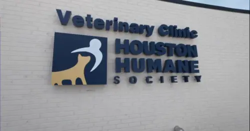 Hội Nhân đạo Houston khai trương phòng khám riêng, cung cấp dịch vụ chăm sóc thú cưng giá rẻ