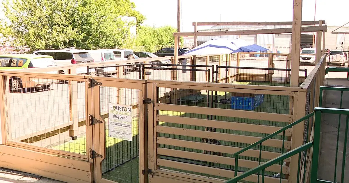 Houston Pets Alive Cần Giúp Đỡ Xây Sân Chơi Mới Cho Chó