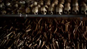 Tòa án Hà Lan kết án một người Rwanda về tội diệt chủng năm 1994, tuyên án tù chung thân