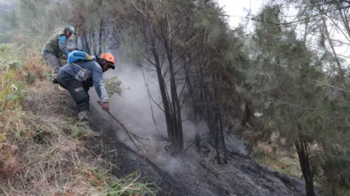 Cháy rừng ở Núi Bromo Indonesia cơ bản được khống chế, khói buộc trường học đóng cửa