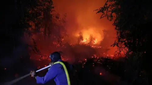 Indonesia tăng cường chữa cháy rừng khi khói lan sang Malaysia