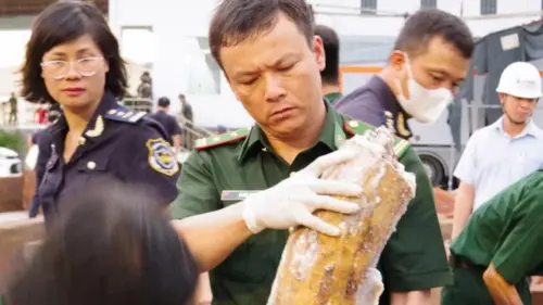 Cơ quan chức năng Việt Nam phát hiện hơn một tấn ngà voi bị giấu, tuồn lậu từ châu Phi